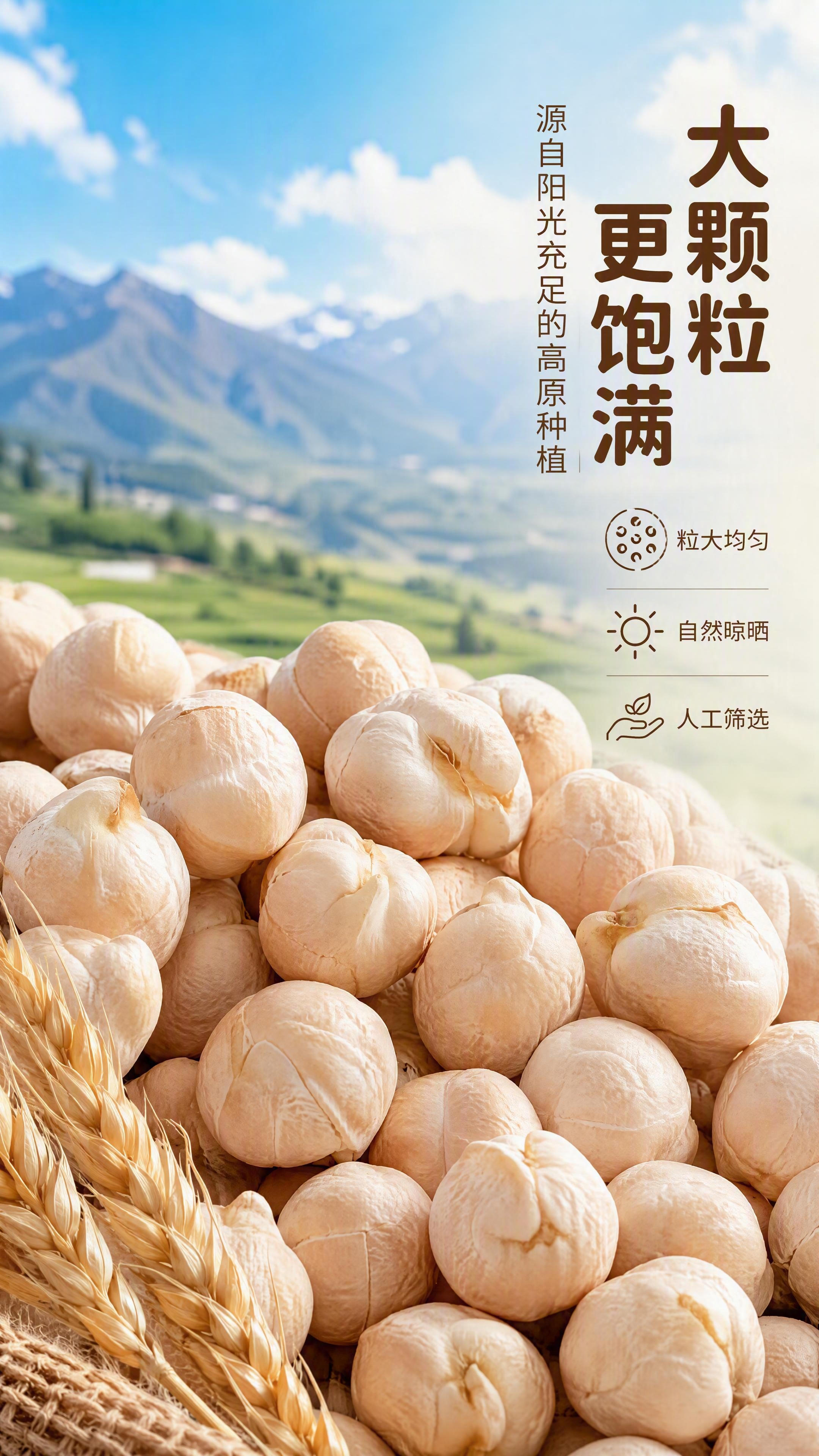 [第2张] 原料产地品质页-鹰嘴豆大颗粒微距展示。本张使用【图… - 图片创意预览