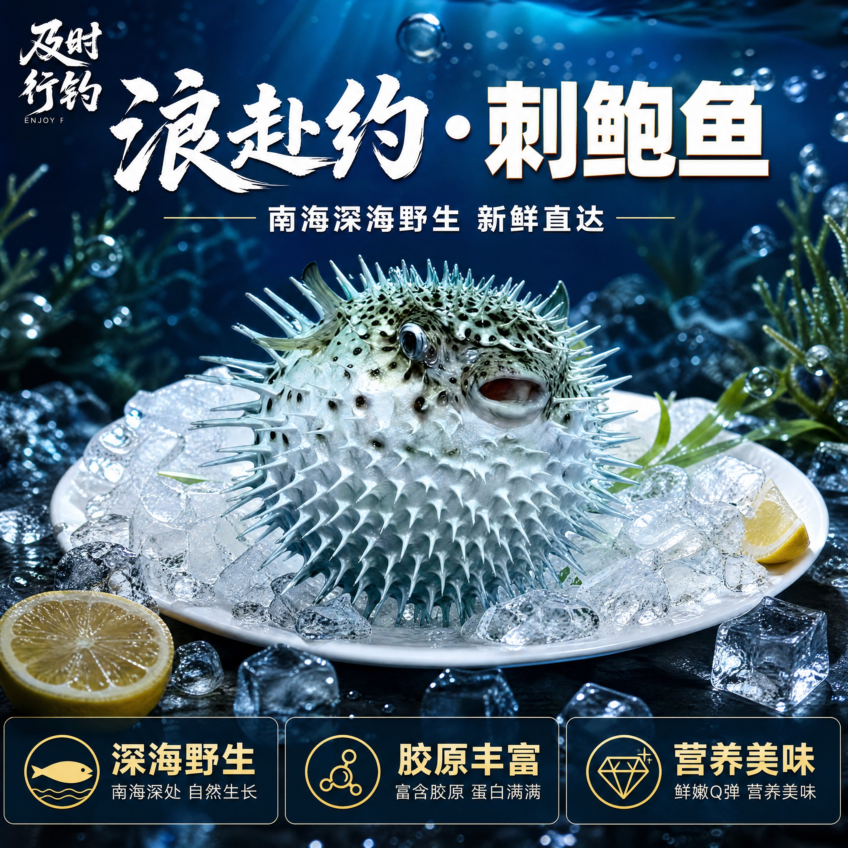 [商品] 使用【图1】野生刺鲍鱼；保留刺鲍鱼圆鼓形态、全身尖刺… - 图片创意预览