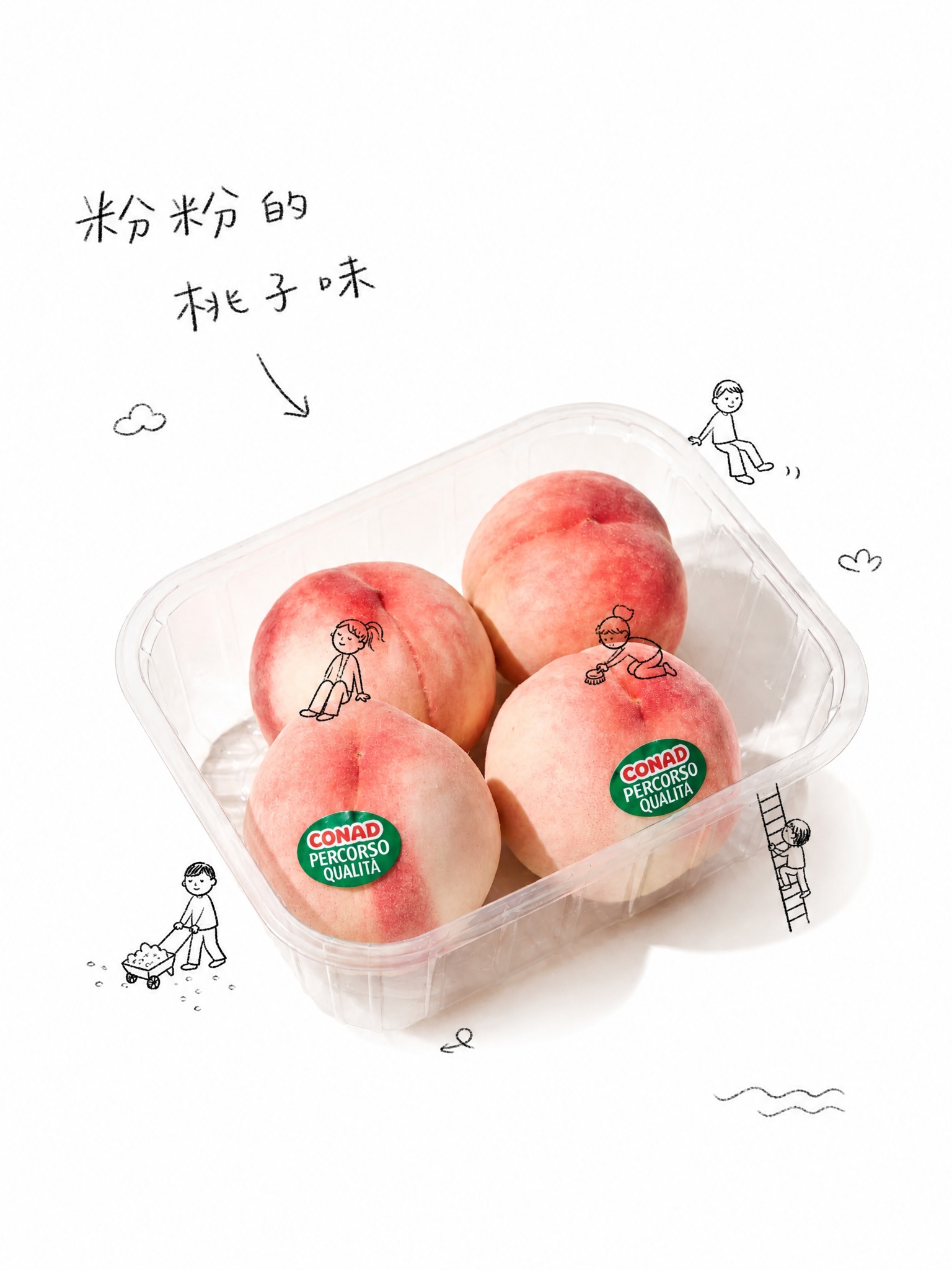 将图片中的水蜜桃组合（透明塑料盒、四颗水蜜桃、标签贴纸）作为唯… - 图片创意预览