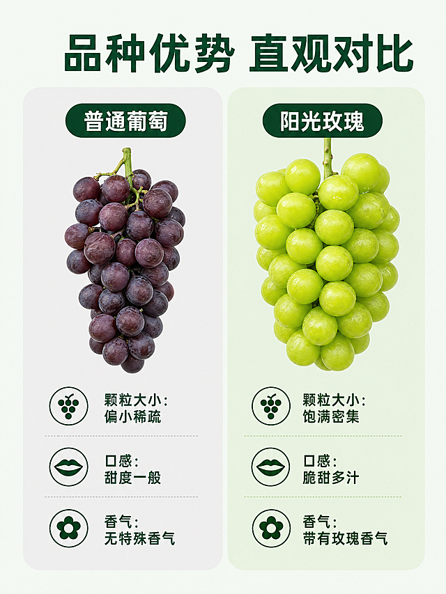 [第6屏] 详情页品质对比屏-阳光玫瑰品种优势展示。本屏使用左右分栏对比版式。
[氛围/风格] 清晰对比风格，干净专业，突出阳光玫瑰品种优势，清爽不杂乱。
[元素布局] 左右分栏，左侧为普通葡萄，右侧为我们的阳光玫瑰。左侧普通葡萄颗粒偏小、颜色偏深，展示普通葡萄特点；右侧阳光玫瑰使用【图1】，保持果实青绿饱满的形态和颜色，突出优势。每栏顶部放栏目标题，下方放对应果实图和3个对比卖点。
[光影质感] 左右两侧光影均匀一致，保持明亮清晰，突出对比效果。
[配色色系] 全局底色：#F2F9F2（浅绿）；左侧浅灰底，右侧浅绿色底，文字深绿色对比清晰，配色协调统一。
[视角构图] 左右对称对比，每栏果实居中展示，卖点在果实下方排列整齐，对比清晰直观。
[文字版式] 顶部大标题「品种优势 直观对比」深绿色居中，左侧栏标题「普通葡萄」，右侧栏标题「阳光玫瑰」，下方对比卖点：「颗粒大小：偏小稀疏 / 饱满密集」「口感：甜度一般 / 脆甜多汁」「香气：无特殊香气 / 带有玫瑰香气」，文字对齐整齐，清晰对比。字形沿用圆角黑体，字色仅保留深绿色，纯色填充，和首屏风格统一。
[比例分辨率] 3:4 竖版比例，4K分辨率，文字清晰可辨，超高清。
[负向提示词] 对比排版错乱，文字模糊，果实变形，颜色失真，水印