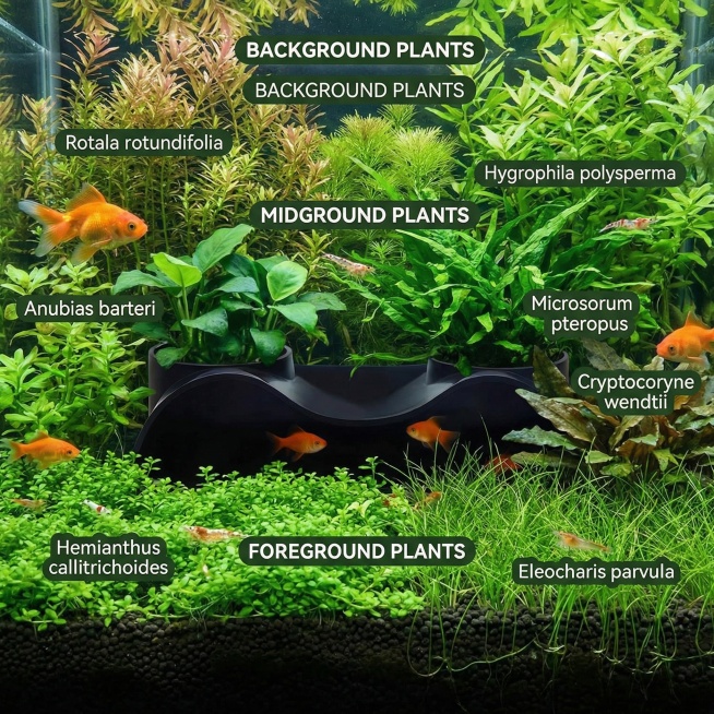 帮我生成图片：以图中的水族箱地下隧道洞穴为元素,设计6张跟水族箱地下隧道洞穴有关的图,物体主体特征不变，英语,比例 「1:1」预览效果