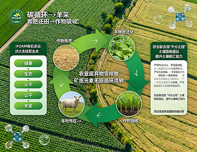 过腹还田物质循环科普信息图，中心绘制闭合的养分循环示意图，清晰展示作物残茬→羊采食消化→粪肥还田→作物吸收的完整闭环，标注“农业废弃物零排放，矿质元素无损循环流转”；左侧设置对照展板，逐条对应展示与IFOAM有机农业四大支柱（健康、生态、公平、关爱）的契合点；右侧设置专项说明板，标注“符合联合国‘千分之四’土壤固碳倡议，提升土壤碳汇能力”。背景为绿色生态风格的农田景观，搭配碳循环、氮循环等分子元素点缀，整体严谨专业，突出生态农法的国际价值认同。