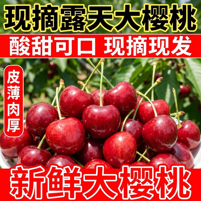[主图-1] 新鲜大樱桃点击率首图，参考示例风格大字突出重点
[氛围风格] 接地气 直白突出 新鲜有食欲 不刻意追求过度专业
[画质] 清晰真实 新鲜水果质感 不过度磨皮液化
[元素] 一堆新鲜带柄红预览效果