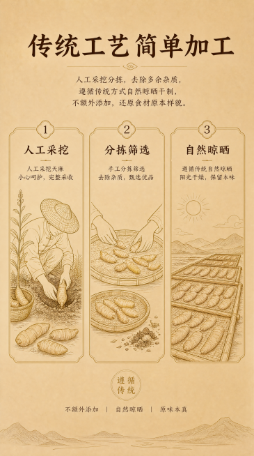 [第3屏] 天麻加工工艺展示，简约国风插画，金色线条浅棕底色，分三栏展示采挖到干制过程：人工采挖、分拣筛选、自然晾晒，干净简约突出传统工艺。主标题「传统工艺 简单加工」，说明文字「人工采挖分拣，去除多预览效果