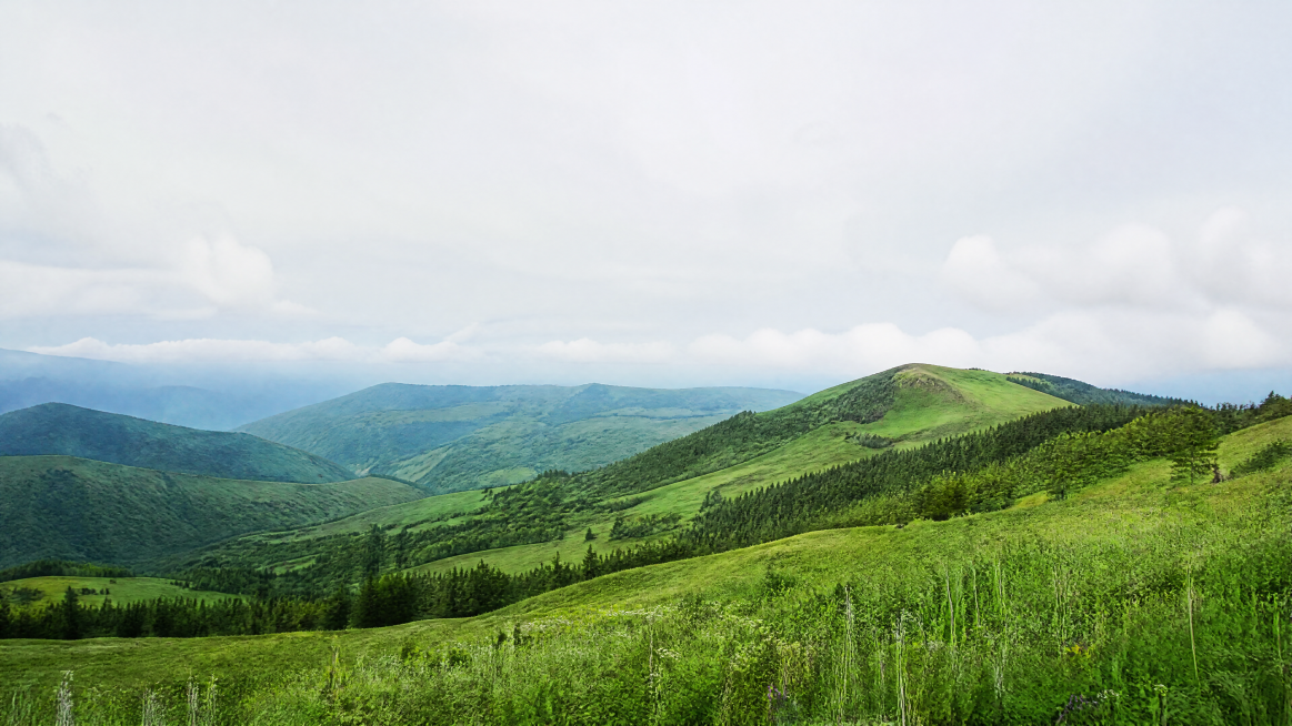 广西天然草地景观图，高山草甸绿意葱葱，草地与森林交错，展示丰富草种质资源，整体绿色调，构图干净留有文字区域，适合PPT内页使用预览效果