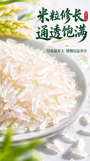 [第4屏] 米粒细节特写-壮瑶家香连山有机大米米粒质地展示。
[氛围/风格] 微距美食摄影，通透质感，真实食欲感，高清细节呈现。
[元素布局] 整屏以晶莹修长米粒为主视觉，占比超过80%，米粒堆叠在白预览效果