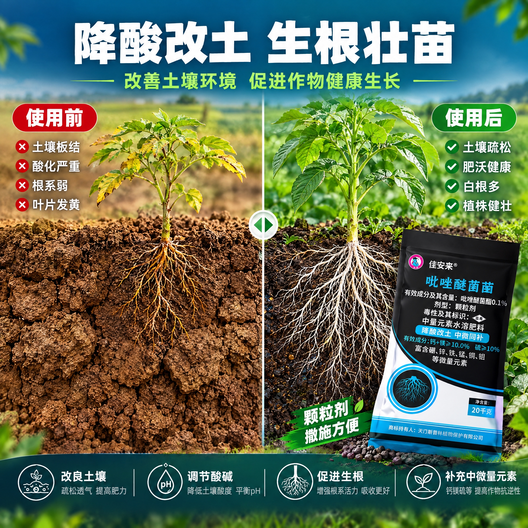 [主图-3] 降酸改土功效展示 土壤改良前后对比 根系生长效果… - 图片创意预览