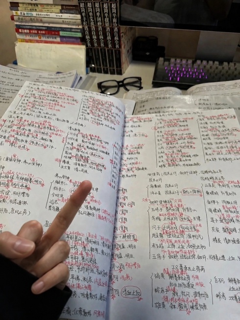 在这张图片的左下角添加一个类似于第二张图竖中指的手势，保持整体画面风格和光影一致预览效果