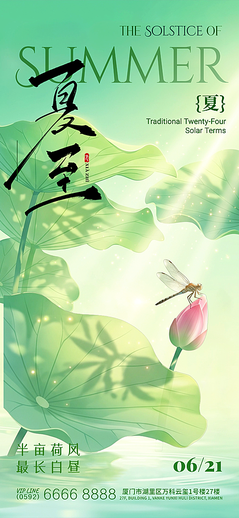 夏至节气祝福通用清新感光影荷花全屏竖版海报