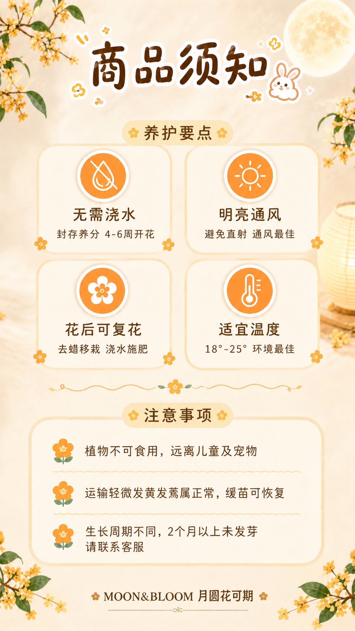 将养护小贴士和注意事项合并为一页9:16竖版商详，统一标题为"… - 图片创意预览