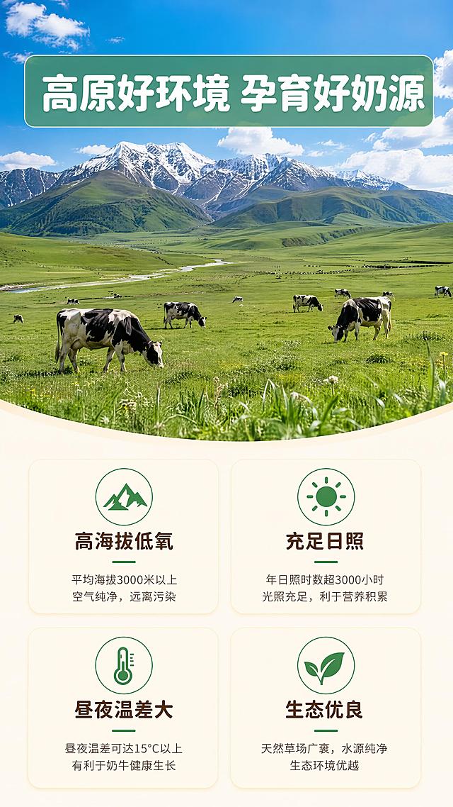 [第3屏] 高原奶源产地页-祁连山高原牧场4大环境优势展示。本屏为产地说明，无需产品主体图。
[氛围/风格] 高原自然风景风，开阔大气，阳光明媚，真实牧场摄影质感。
[元素布局] 画面上半部分为大幅祁连山高原牧场实景：连绵青山、蓝天白云、广阔草原、散养奶牛，占屏约50%；下半部分为浅米色背景上的4个优势卡片，2×2网格排列，每个卡片配小图标（山脉/太阳/温度计/绿叶）；主视觉产地场景元素占屏≥50%，突出产地环境优势。
[光影质感] 高原强烈日光，明暗对比适中，草原层次分明，天空通透，整体明亮温暖。
[配色色系] 全局底色 #FFF8EE（暖奶白色）；主色 #3A8F5A（草原绿）；辅助色 #87CEEB（天空蓝）、#FFD700（阳光金）、深棕文字。
[视角构图] 上景下文结构，阅读动线顶部牧场大图→中部标题→底部4个优势卡片。
[文字版式] 牧场图上方叠加半透明绿色条带，主标题「高原好环境 孕育好奶源」白色圆润大字；下方4卡片标题分别为「高海拔低氧」「充足日照」「昼夜温差大」「生态优良」，每卡配1行说明小字；卡片圆角浅底，图标绿色。
[比例分辨率] 9:16竖版比例，4K分辨率，文字清晰可辨，高清画质。
[负向提示词] 水印，文字错乱，文字过小，图片模糊，人物乱入，布局拥挤。