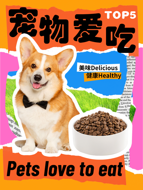 宠物柯基小红书封面预览效果