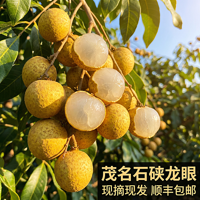 [主图-1] 茂名石硖龙眼现摘现发首图，果粒饱满挂枝剥开展示
[氛围风格] 自然果园新鲜采摘风，突出阳光果肉通透感
[画质] 商业摄影质感，光线柔和通透，产品清晰真实，画面干净高级
[元素] 挂在枝头的茂名石硖龙眼，多颗已经剥开露出饱满晶莹的乳白色果肉，果肉透亮水润，周边保留完整带枝叶的龙眼果串，背景是绿色荔枝树叶和蓝天阳光。保持龙眼外观、大小、颜色、质感与输入图一致，杜绝变形色差。商品主体占比70%左右，满屏无边框
[光影] 自然暖阳逆光穿透果肉，呈现晶莹水润通透感，叶片和果实轮廓有柔和高光，整体暖调自然光，层次感强
[配色] 主色调为果叶自然绿色+果肉奶白色+果皮黄褐色
[视角构图] 平视视角，果串居中为视觉焦点，前景后景分层，景深适中，产品完整不裁切
[文字版式] 右下负空间放置文案，大字'茂名石硖龙眼'粗体黑色，下方小字'现摘现发 顺丰包邮'字体缩小一半，文字清晰不遮挡主体
[输出要求] 1:1比例，文字清晰锐利，超高清商业摄影质感
[负向提示词] 变形，文字错乱，产品模糊，背景杂乱，水印，电商平台Logo