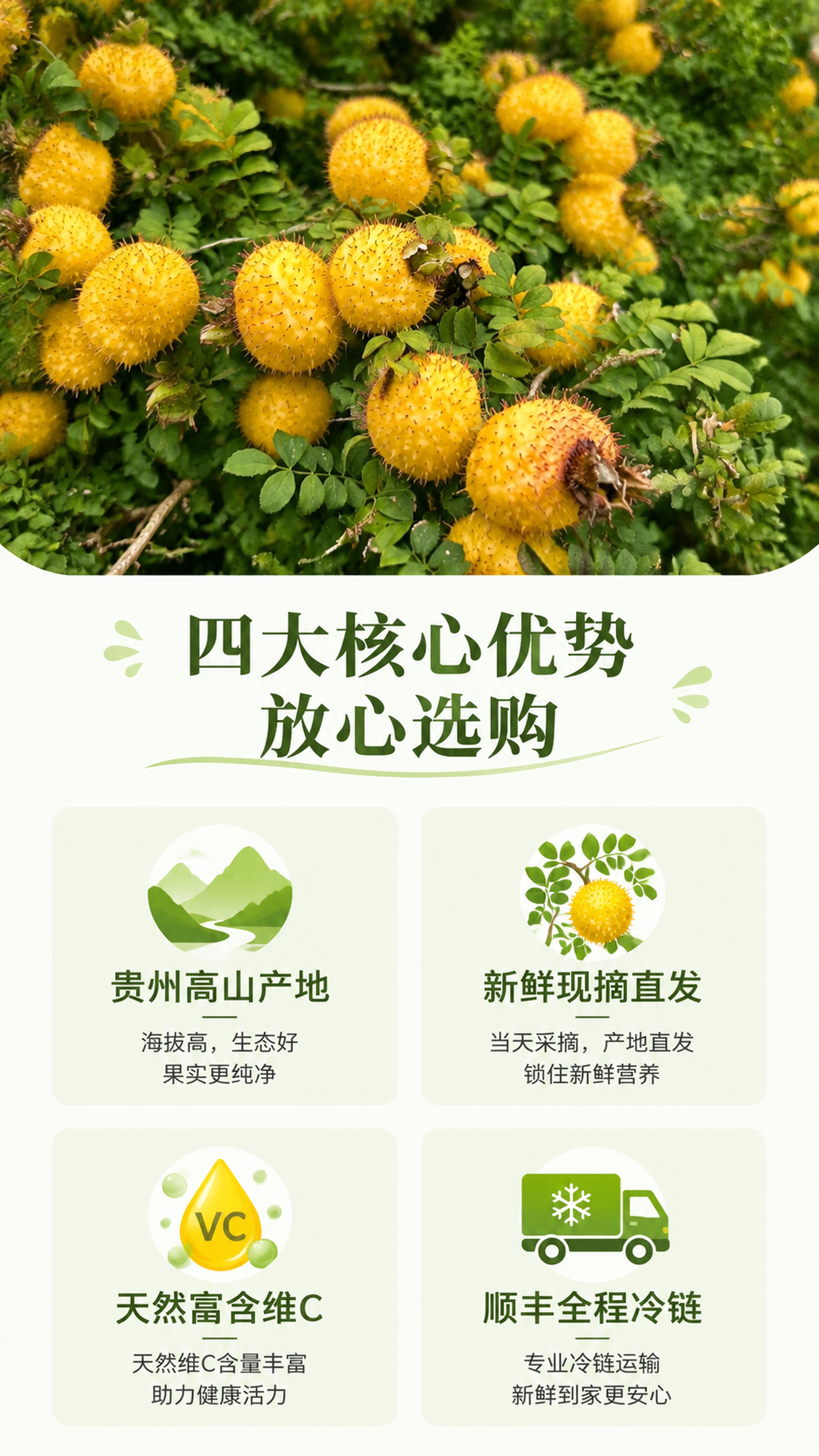 「图片1」，生成电商产品详情页，商品名称是贵州新鲜刺梨，卖点是… - 图片创意预览