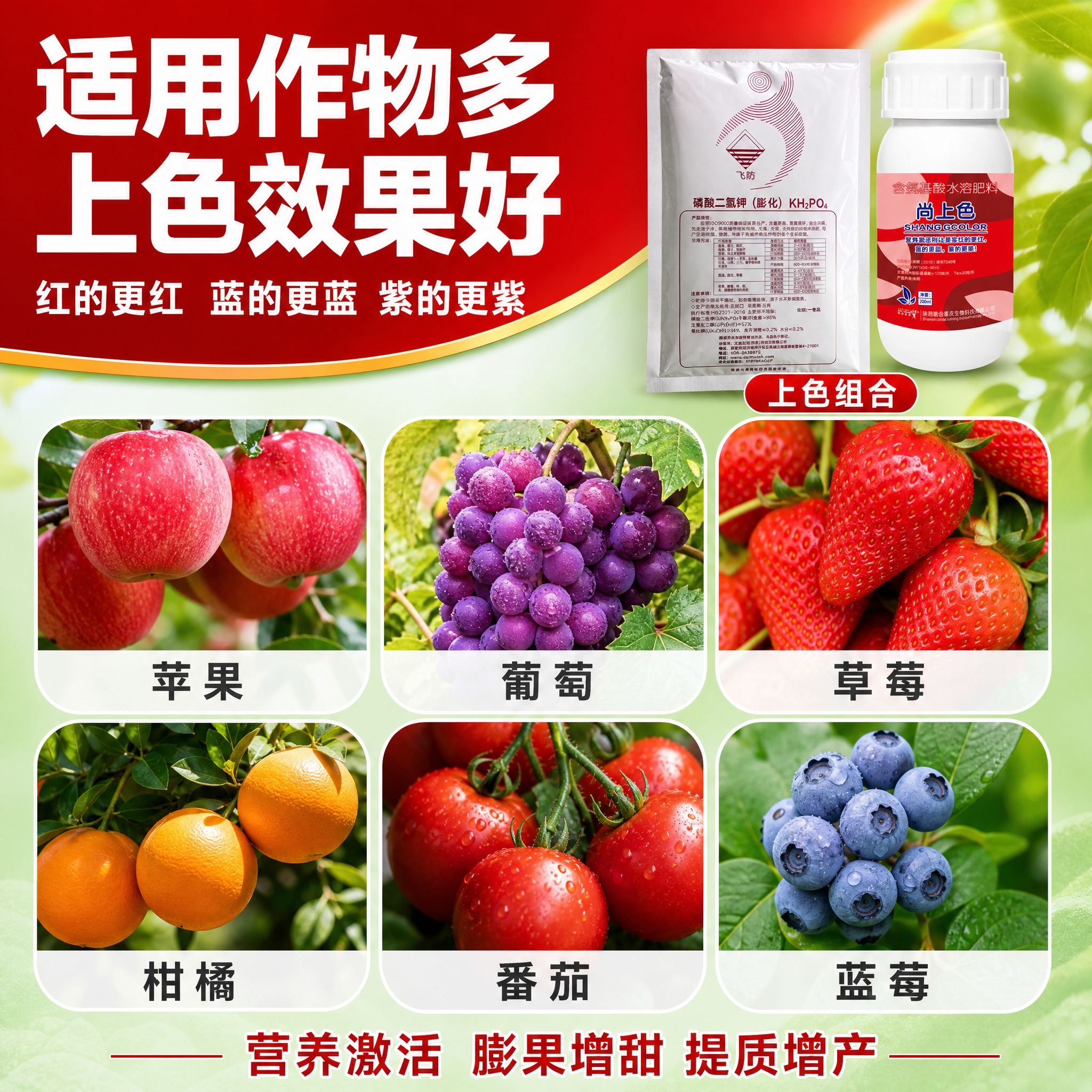 [主图-2] 主题：上色组合适用作物多+上色效果好 卖点信息图… - 图片创意预览