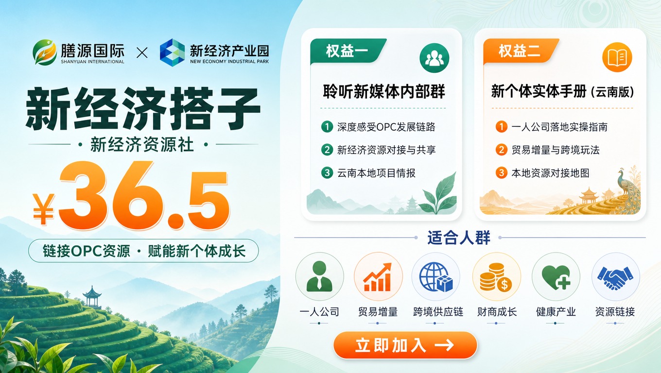[商品] 无实物商品，服务类产品：新经济搭子（新经济资源社），… - 图片创意预览