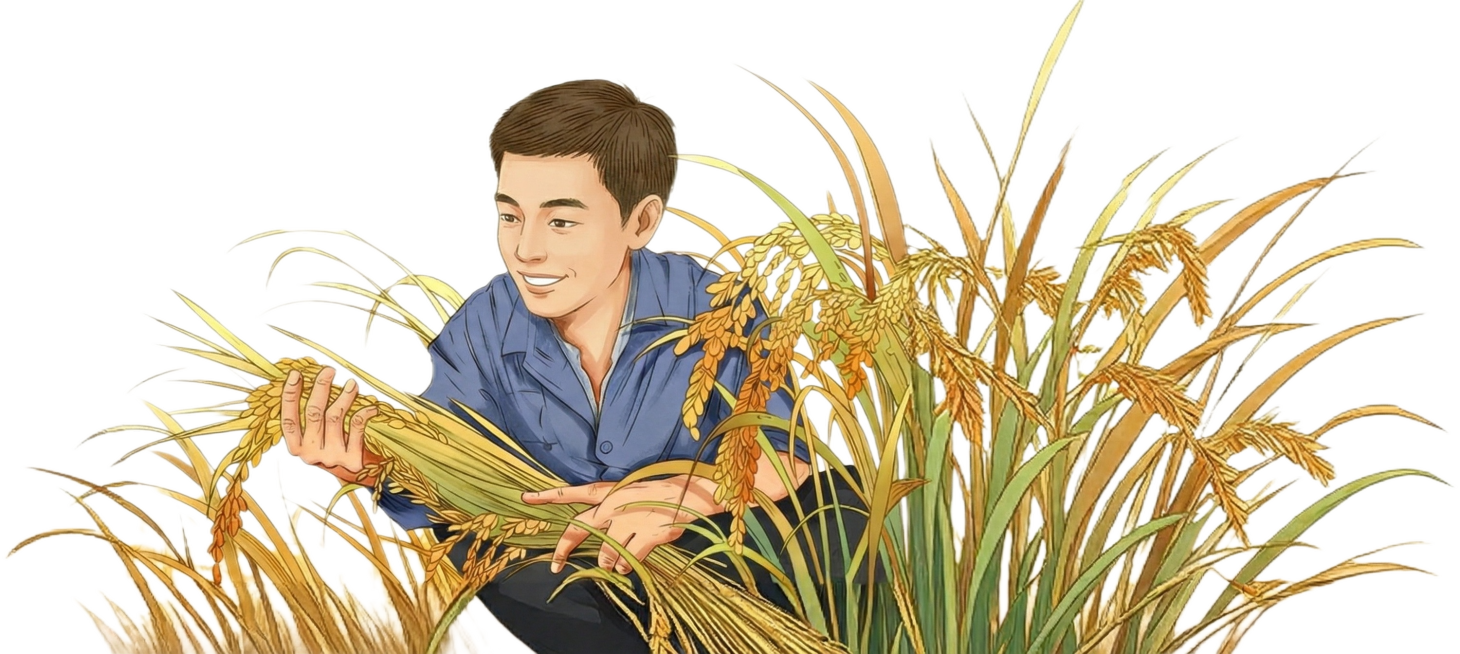 帮我把人物的面容调得和谐年轻一些，其他不变预览效果