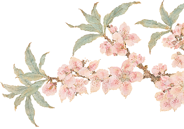 参考图中的中国传统工笔没骨花鸟画风格，重新绘制碧桃花枝，保持绢本古画的肌理质感和国画韵味，整体画面颜色调亮，粉色花朵的饱和度降低、粉色变淡更柔和清雅，叶片为淡青绿色，花枝棕褐色，背景纯白色，保留古画的斑驳纹理和细腻笔触，构图舒展自然