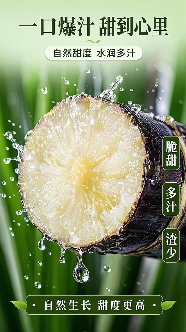 [第5屏] 口感质地屏-甘蔗切面爆汁微距特写。本屏使用【图1】作为甘蔗外观参考，重点展示切面质地。
[氛围/风格] 水润清甜+食欲爆棚，微距质感，生鲜食品质地展示，高清细节。
[元素布局] 画面中央为黑皮甘蔗的横截面特写，占比约50%，切面洁白如玉，纤维纹理清晰可见，汁水从切面渗出形成晶莹水珠，部分水珠正在滴落；切面周围有飞溅的细小汁滴，动态感十足；背景为虚化的深绿色甘蔗叶，衬托主体；甘蔗外皮保持紫黑色，与输入图颜色质感一致；切面边缘可见薄薄的紫黑外皮。
[光影质感] 侧上方柔光照射，切面汁水有强烈高光反射，水珠晶莹剔透，纤维纹理明暗层次分明，整体水润透亮，充满食欲。
[配色色系] 全局底色渐变 #E8F5E9 到 #C8E6C9（浅绿渐变）；主色洁白切面 #FFFFFF；辅助色紫黑皮 #2A1B2E、翠绿背景 #4CAF50；字色深绿 #1B3D0A。
[视角构图] 微距特写，正面平视切面，汁水飞溅为动态焦点，阅读动线顶部标题 → 中央切面爆汁 → 底部口感描述。
[文字版式] 顶部居中大标题「一口爆汁 甜到心里」，温润宋体；副标题「自然甜度 水润多汁」，圆角黑体；切面右侧竖排三个口感标签：「脆甜」「多汁」「渣少」，白色字配深绿圆角底；底部横条写「自然生长 甜度更高」。文字不遮挡切面主体。
[比例分辨率] 9:16 竖版比例，4K分辨率，文字清晰可辨，高清画质。
[负向提示词] 切面变形，汁水效果虚假，颜色偏差，水印，文字错乱，纤维纹理模糊，背景杂乱。