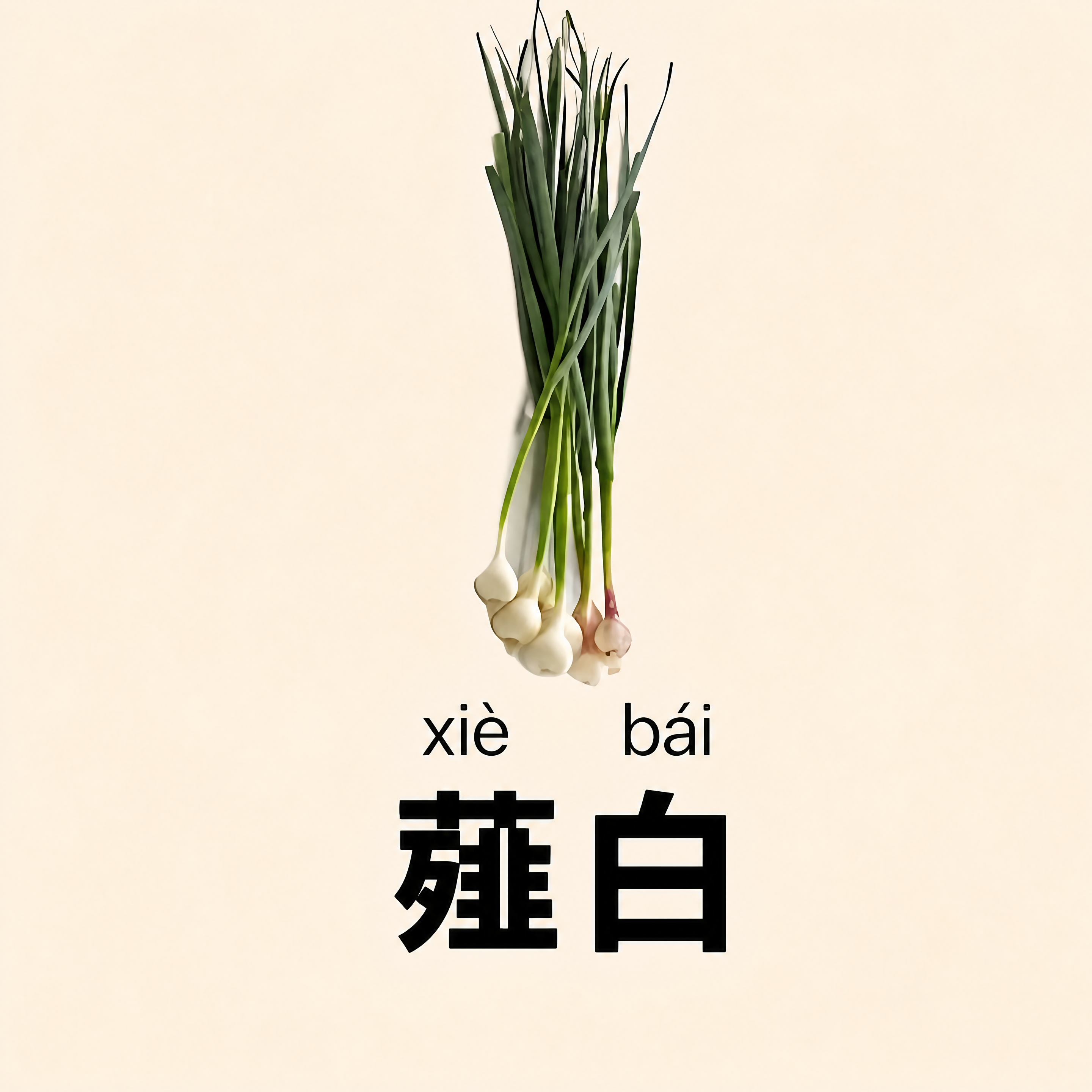 移除右侧绿色对话框和"理气"文字，其余内容完全保留不变，薤白植… - 图片创意预览