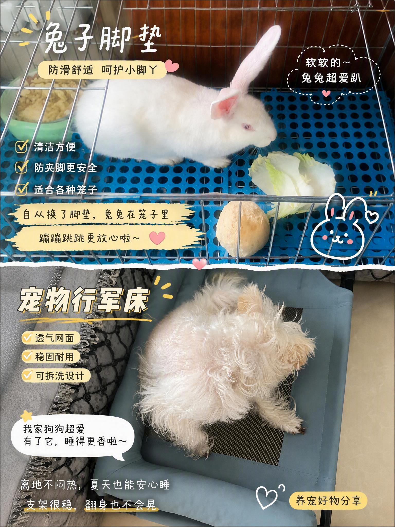 将两张宠物图片拼接成一张3:4竖版拼图，上下排列，上方为白色兔… - 图片创意预览