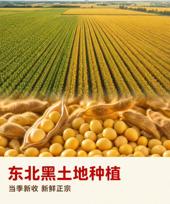 [第3屏] 庄舞河东北黄豆产地优势实景展示图。
[氛围/风格] 自然写实风格，清新通透，高清航拍加产品特写结合。
[元素布局] 采用上下分栏结构，上半部分是东北黑土地黄豆田航拍全景图，大片整齐的黄豆田预览效果