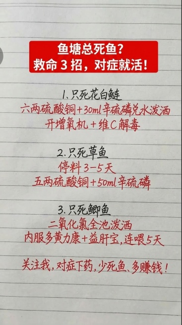 横格笔记本纸张背景，顶部红色矩形块，白色粗体文字写着"鱼塘总死鱼？救命 3 招，对症就活！"，下方黑色手写体文字和红色手写体文字排版布局和原图一致，文字一字不差：
1、只死花白鲢
六两硫酸铜+30ml预览效果