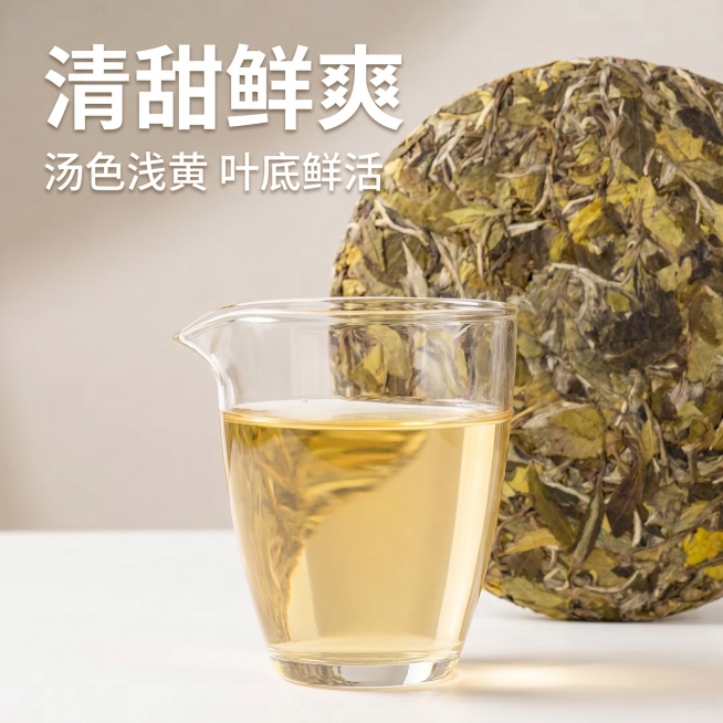 [主图 4] 白牡丹茶汤展示
[氛围风格] 清澈鲜爽，突出新茶清甜品质
[画质] 商业摄影质感、光线柔和通透、茶汤清澈透亮、画面干净高级
[元素] 玻璃公道杯盛放泡好的白牡丹茶汤放在前景居中，后方搭配预览效果