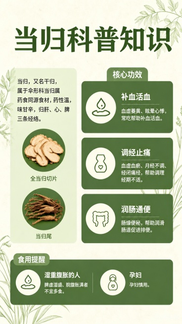 自然清新中式养生科普海报，标题为"当归科普知识"，排版和配色参考上传图片：绿白配色，浅米黄背景搭配浅绿植物枝叶装饰。左上信息区介绍：当归，又名干归，属于伞形科当归属药食同源食材，药性温，味甘辛，归肝、预览效果