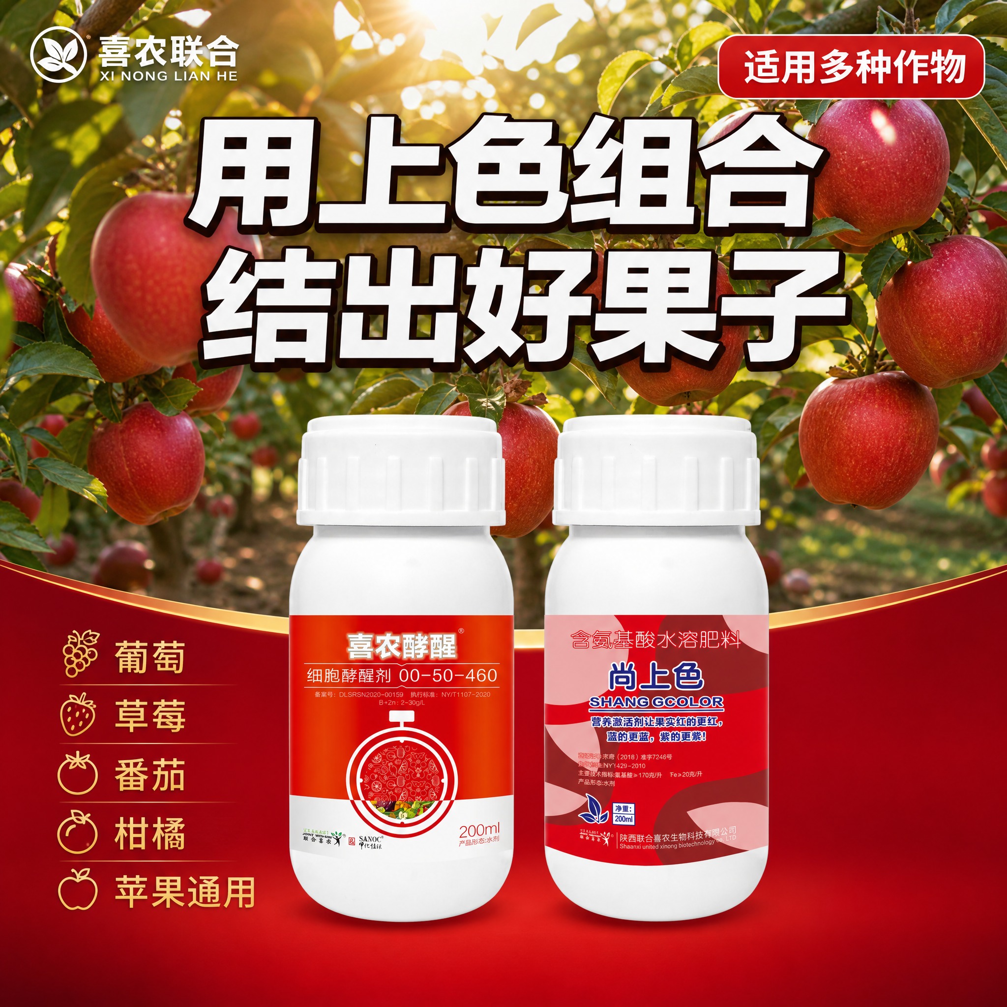 [主图-4] 果园真实使用场景 果实挂满枝头 上色均匀鲜亮 [… - 图片创意预览