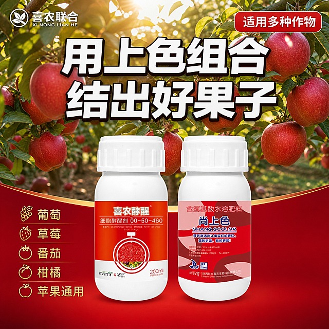 [主图-4] 果园真实使用场景 果实挂满枝头 上色均匀鲜亮
[统一基调] 抖音农资电商风格 红金渐变主背景 深红色+金色点缀 白色粗黑体主标题 金色副标题 圆角矩形卖点标签 强视觉冲击 高清商业摄影质感
[画面] 上半部分为真实果园场景 挂满成熟果实的果树 果实颜色饱满红亮 一串串果实沉甸甸的 阳光透过树叶洒下 画面真实自然有丰收感 下半部分为深红色渐变背景 放置两瓶组合产品 喜农酵醒和尚上色并排摆放 产品占画面下方约40% 左上角有品牌Logo 右上角有一个红色圆角标签
[光影质感] 上半部分果园自然光感 温暖明亮 果实鲜亮有光泽 下半部分产品保持商业摄影质感 主光柔和 瓶身清晰 过渡自然
[配色] 上半部分果园自然绿色+红色果实 下半部分深红渐变背景 红金配色 文字白色和金色 整体色调统一和谐
[文字版式] 顶部叠加在果园画面上的主标题"用上色组合 结出好果子"白色粗黑体带轻微黑色描边 右上角红底白字标签"适用多种作物" 底部产品旁金色小字"葡萄 草莓 番茄 柑橘 苹果通用" 文字清晰不遮挡主体
[输出要求] 1:1正方形 2048x2048 果园场景真实 产品清晰不变形 文字清晰可读 无错字 无水印 无平台Logo 场景与产品融合自然