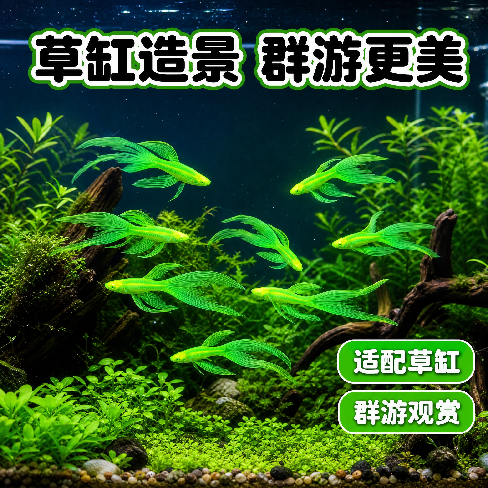 [主图-4] 草缸造景场景图 展示翡翠绿长尾斑马鱼在水草缸中的… - 图片创意预览