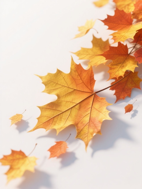 white background, ultra detailed 3D rendering of autumn maple leaves, vibrant gradient colors from golden yellow to deep orange, highly textured leaf surfaces with visible veins and serrated edges, ……预览效果