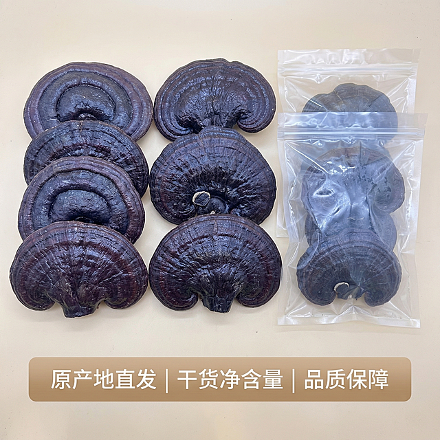 [主图 5] 长白山紫灵芝SKU与服务承诺
[氛围/风格] 干净简约，信任感强，专业品质感
[画面元素] 保持原图紫灵芝完整外观，展示多支整支大朵紫灵芝整齐排列，旁边搭配密封包装袋，整体摆放整齐清晰，展示完整产品形态，背景干净简洁
[配色色系] 主色调：浅米白背景、紫灵芝深棕色；辅助色：包装袋深棕色
[视角构图] 居中平铺展示，构图均衡
[文字版式] 底部半透明浅棕色悬浮条，横向排列服务承诺：“原产地直发 | 干货净含量 | 品质保障”，白色字体清晰易读，两端留空不贴边，上方产品展示清晰无遮挡
[比例分辨率] 1:1 比例，2k 分辨率