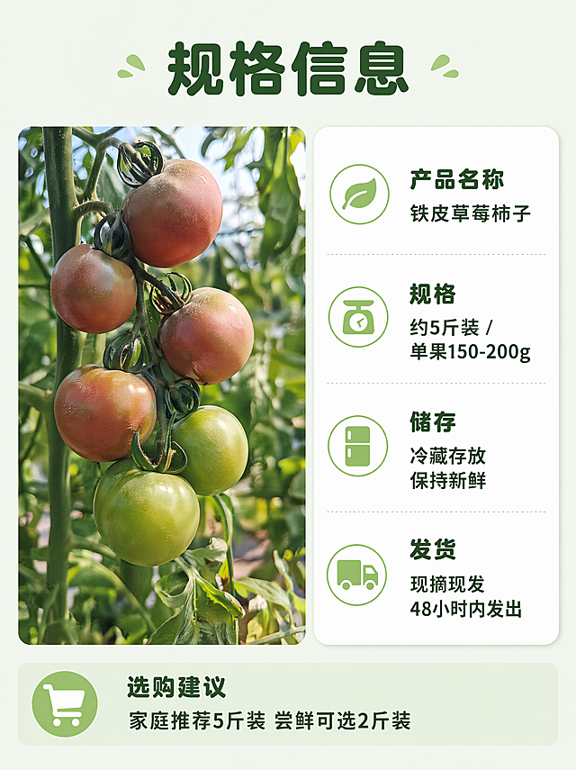 [第8屏] 规格信息与选购建议。
[氛围/风格] 规整信息风，清晰干净，参数易读。
[元素布局] 左侧放整串挂果的产品图（使用图4）保持果实外观不变，占据40%宽度；右侧是参数信息卡，包含产品名称、规格、储存方式、发货说明，排版整齐，上下分区。
[光影质感] 均匀柔和光线，文字和产品都清晰可读。
[配色色系] 全局底色：#F2F9F0（浅草绿）；信息卡用白色底色，深绿色文字，参数项加粗区分。
[视角构图] 左图右文横分栏，平衡稳定，符合信息阅读习惯。
[文字版式] 顶部大标题「规格信息」，深绿色圆角粗体；参数信息依次：产品名称「铁皮草莓柿子」；规格「约5斤装 / 单果150-200g」；储存「冷藏存放 保持新鲜」；发货「现摘现发 48小时内发出」；底部选购建议「家庭推荐5斤装 尝鲜可选2斤装」。字形字色字效沿用首屏设定：圆角黑体，双色，纯色填充。
[比例分辨率] 3:4 竖版比例，4K分辨率，文字清晰可辨，超高清。
[负向提示词] 参数错漏，文字模糊，果实变形，排版歪斜，水印，信息混乱。