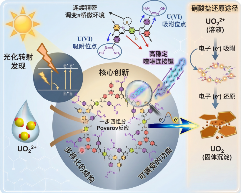 把突出部分高亮一下，电子吸附和电子还原过程参考光催化还原铀路径重新优化预览效果