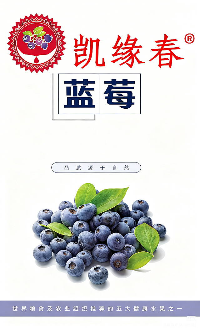 将这张蓝莓海报左上角原来的logo替换为图二红色的凯缘春logo，将中间的标题改成“蓝莓”，删除原本的副本文字区域留空白，去掉下方蓝莓图形上的水印文字，保持整体海报的排版、风格和其他元素不变，背景依然为白色，底部文字保留不改变。