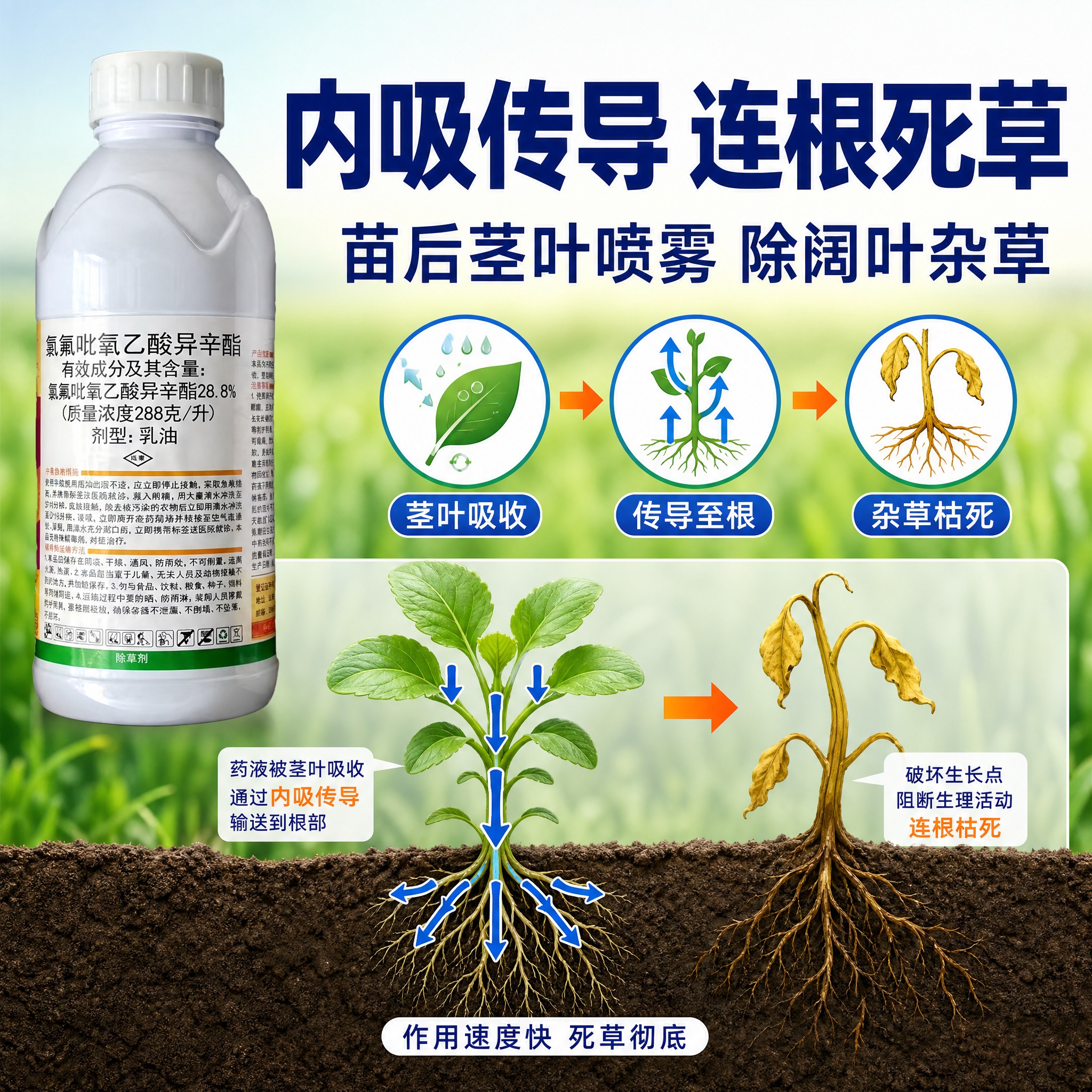 [主图-2] 核心功能效果证明 展示内吸传导除草原理 防除阔叶… - 图片创意预览