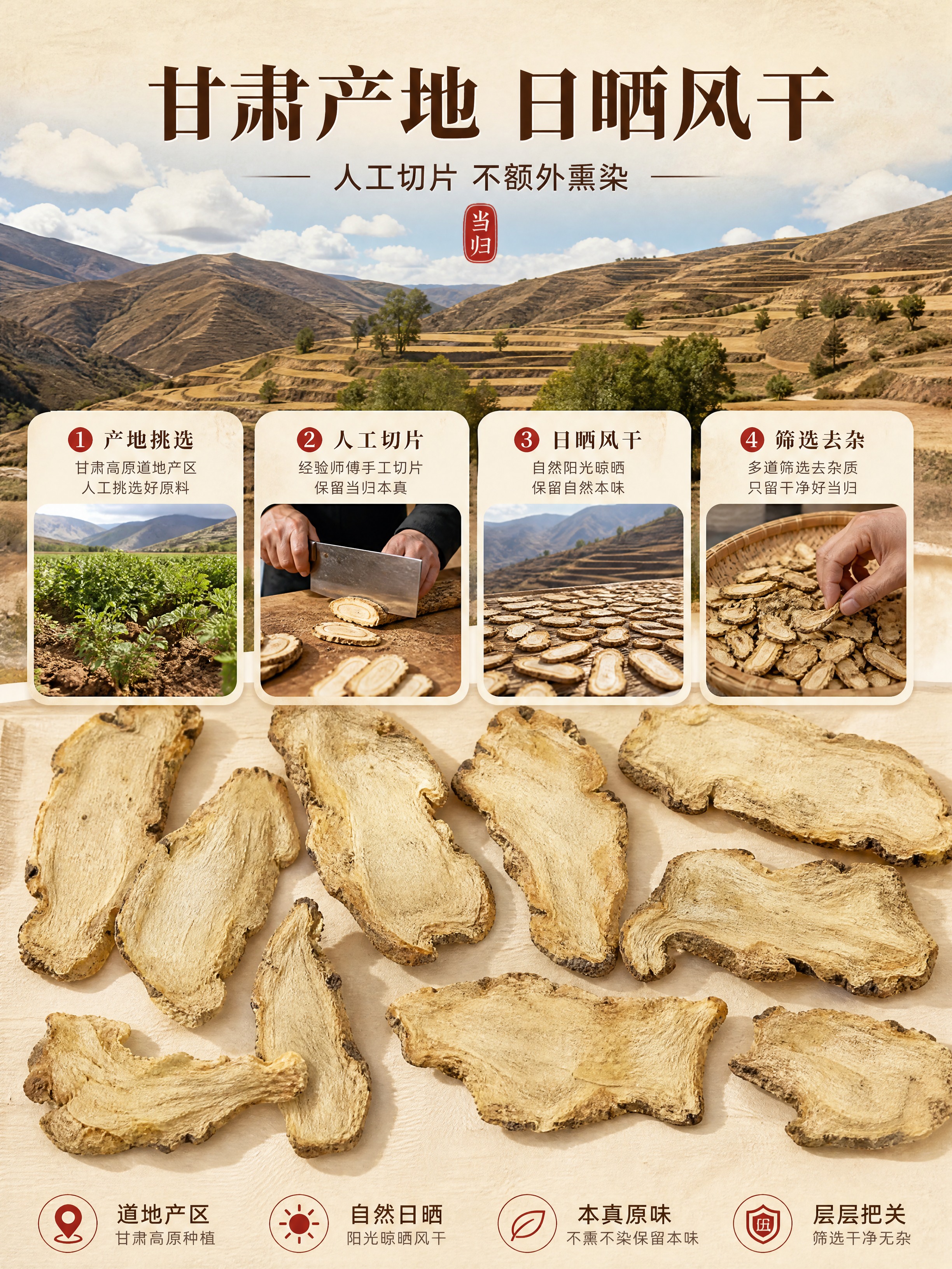 [商品] 使用【图1】当归干片平铺素材；保留每片当归的自然形态… - 图片创意预览