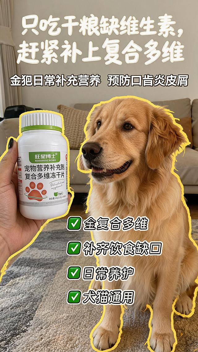 「图片1」   属于产品图片，参考         「图片1」                         这种图片，痛点：宠物长期单一吃干粮主食，日常饮食缺少多种维生素，容易出现口角炎、皮屑多、脚底干裂等维生素缺乏问题
卖点：富含维生素A、D3、全族B族维生素、维生素C、叶酸、烟酰胺等全套复合多维，全面补齐日常饮食缺失营养
使用场景：家养猫狗日常长期喂食，拌入主粮每日定量投喂，作为日常基础营养补充，预防各类维生素缺乏症
，制作10张适合小红书的封面图片，还要和不同猫狗独影作为合影。尺寸：9:16