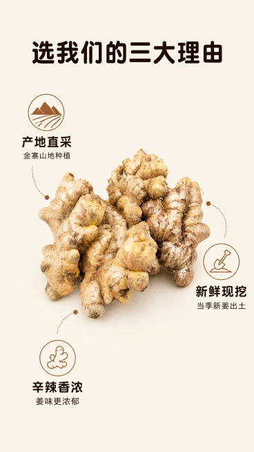 [第6屏] 核心优势卖点拆解。
[氛围/风格] 清晰信息展示，简约干净，商业排版，生鲜质感。
[元素布局] 中间放完整带泥小黄姜主图，保持产品形状、颜色、结构和输入图一致，占画面中心40%区域；围绕主预览效果