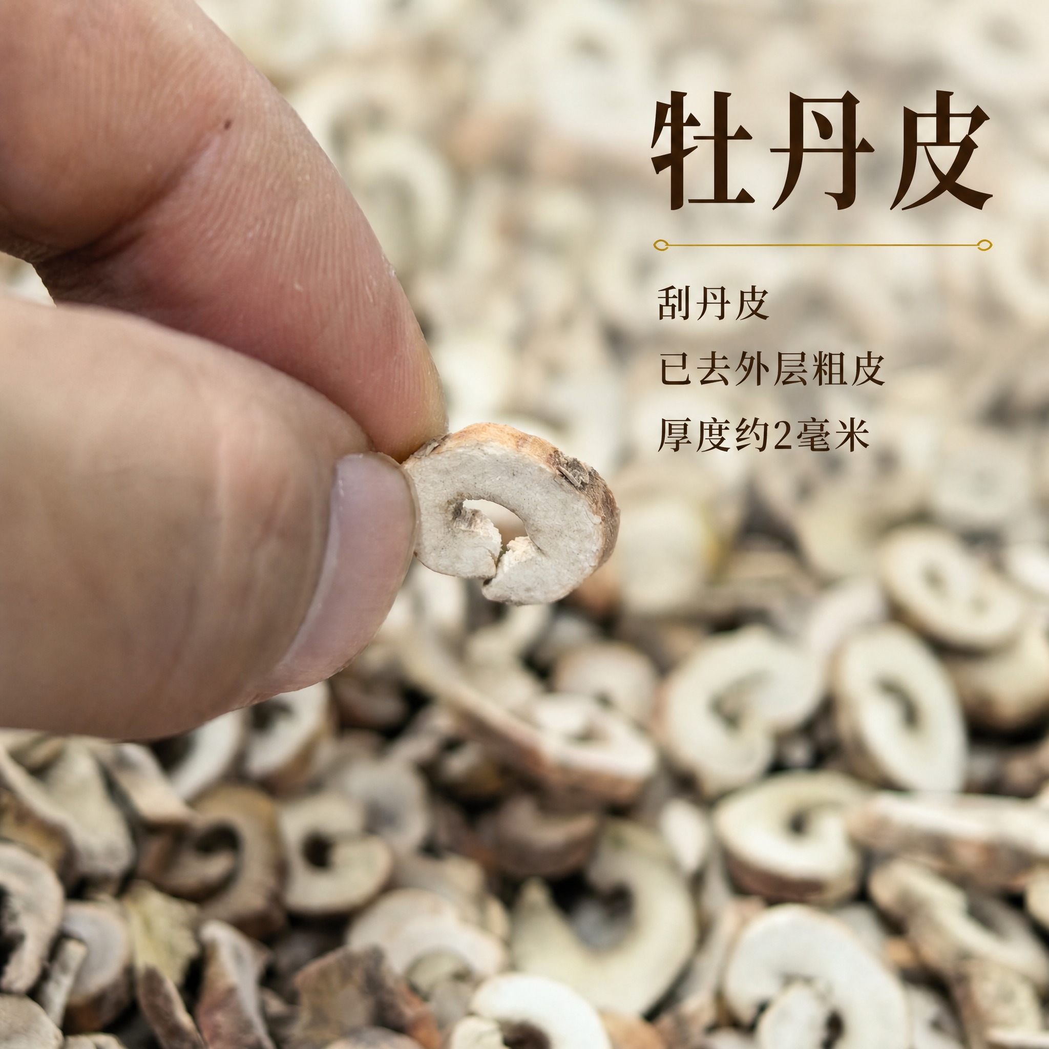基于上传的牡丹皮素材进行主图创作，严格使用上传素材，完整保留原… - 图片创意预览