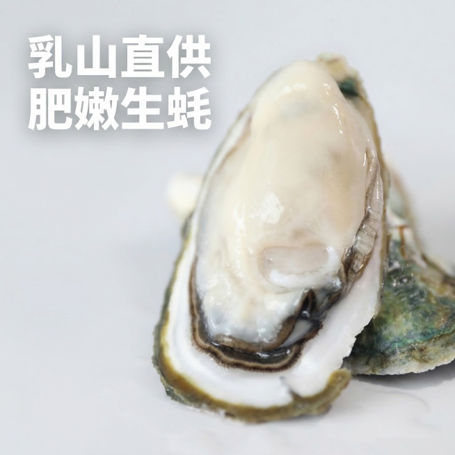 电商详情页首屏，展示新鲜乳山生蚝，整体是高端海鲜宣传画报风格，商业高调摄影，柔和的漫射光，整体低对比度，画面明亮干净通透，使用纯净浅灰白色背景，打开的生蚝展示出饱满肥嫩的生蚝肉，保留完整干净的外壳肌理预览效果