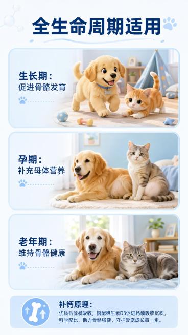 [第4屏] 功能演示，说明适用场景和补钙原理。本屏不使用产品主体图，侧重场景说明。
[氛围/风格] 温馨场景风，暖调浅蓝背景，自然治愈宠物生活质感。
[元素布局] 三格网格布局，从上到下分别展示三个适预览效果