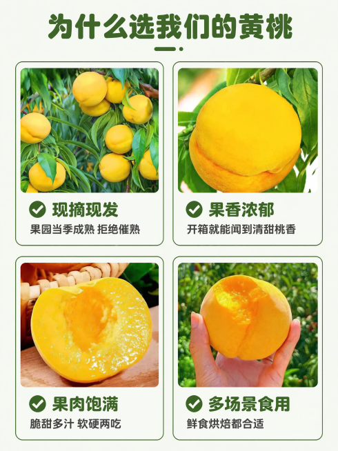 [第2屏] 核心卖点展示屏-新鲜黄桃四大优势介绍。
[氛围/风格] 清新自然风格，简洁干净版式，商业信息设计感，保持生鲜产品新鲜质感。
[元素布局] 顶部大标题，下方分四个模块排列每个卖点，每个卖点配预览效果