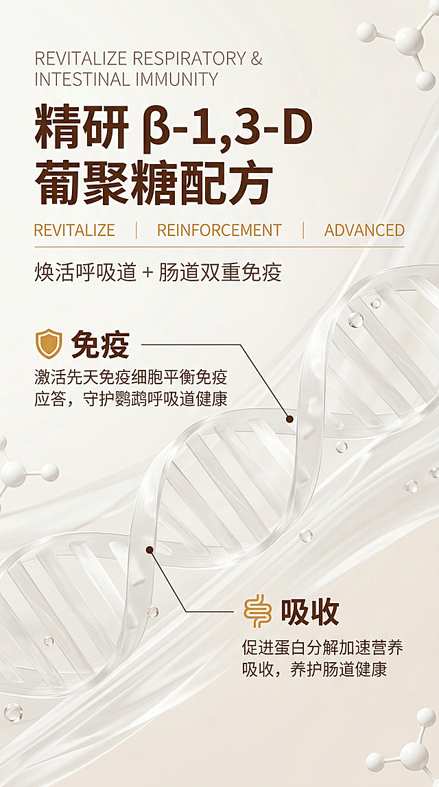 高端生物科技 3D 渲染风格，光影柔和温暖，画面干净高级，质感细腻。背景叠加半透明白色丝带状纹理与小分子球体，营造流动感。画面顶部左对齐排版：最上方为浅暖灰细体英文标题 “REVITALIZE RESPIRATORY & INTESTINAL IMMUNITY”，下方为超大加粗深暖棕主标题 “精研 β-1,3-D 葡聚糖配方”；标题下方居中排列三个用细竖线分隔的细体焦糖黄英文标签 “REVITALIZE”“REINFORCEMENT”“ADVANCED”，再下方左对齐放置浅暖灰细体副标题 “焕活呼吸道 + 肠道双重免疫”。画面中间主体为半透明白色丝带状 β-1,3-D 葡聚糖分子结构，通过深暖棕细连接线标注两个核心卖点：上方为焦糖黄盾牌图标 + 加粗文字 “免疫”，下方为浅暖灰细体说明 “激活先天免疫细胞平衡免疫应答，守护鹦鹉呼吸道健康”；下方为焦糖黄肠道图标 + 加粗文字 “吸收”，下方为浅暖灰细体说明 “促进蛋白分解加速营养吸收，养护肠道健康”。画面角落点缀白色小分子球体结构，强化科技感。整体信息层级清晰，卖点直观，符合高端电商详情页设计标准，色调风格跟上一屏保持一致。