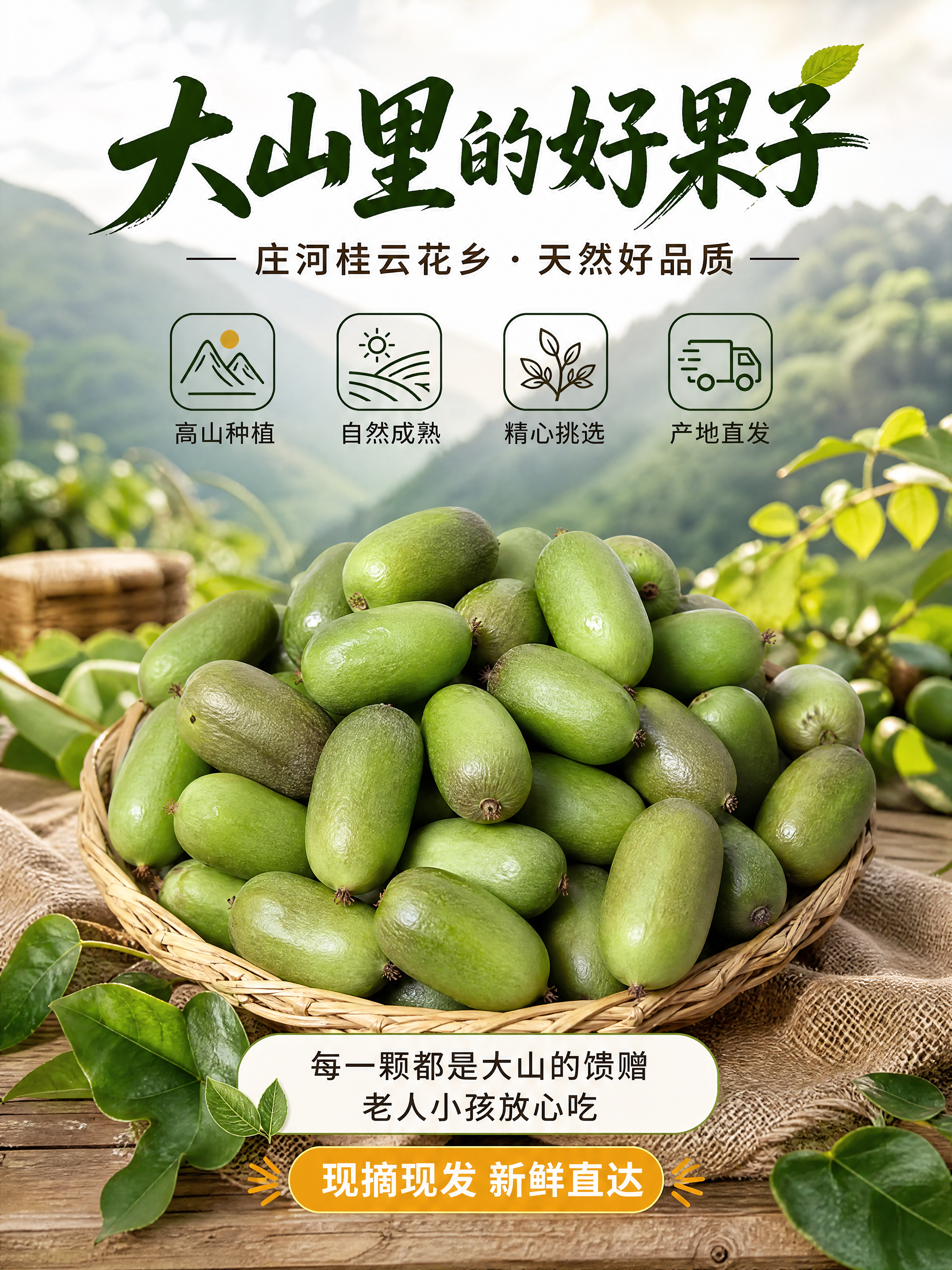 [商品] 使用【图1】软枣猕猴桃；保留果实绿色表皮、长椭圆形形… - 图片创意预览