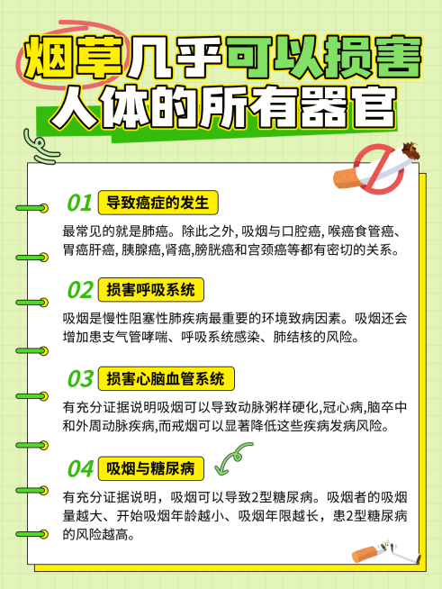 清新趣味手账风世界无烟日科普宣传分享小红书配图预览效果
