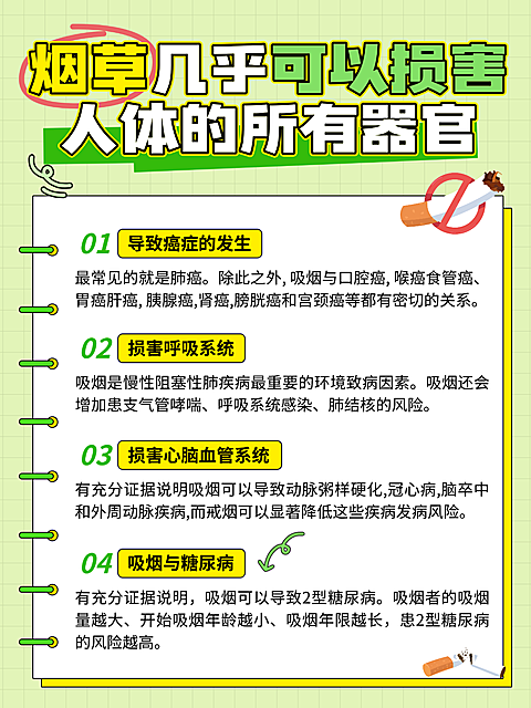 清新趣味手账风世界无烟日科普宣传分享小红书配图
