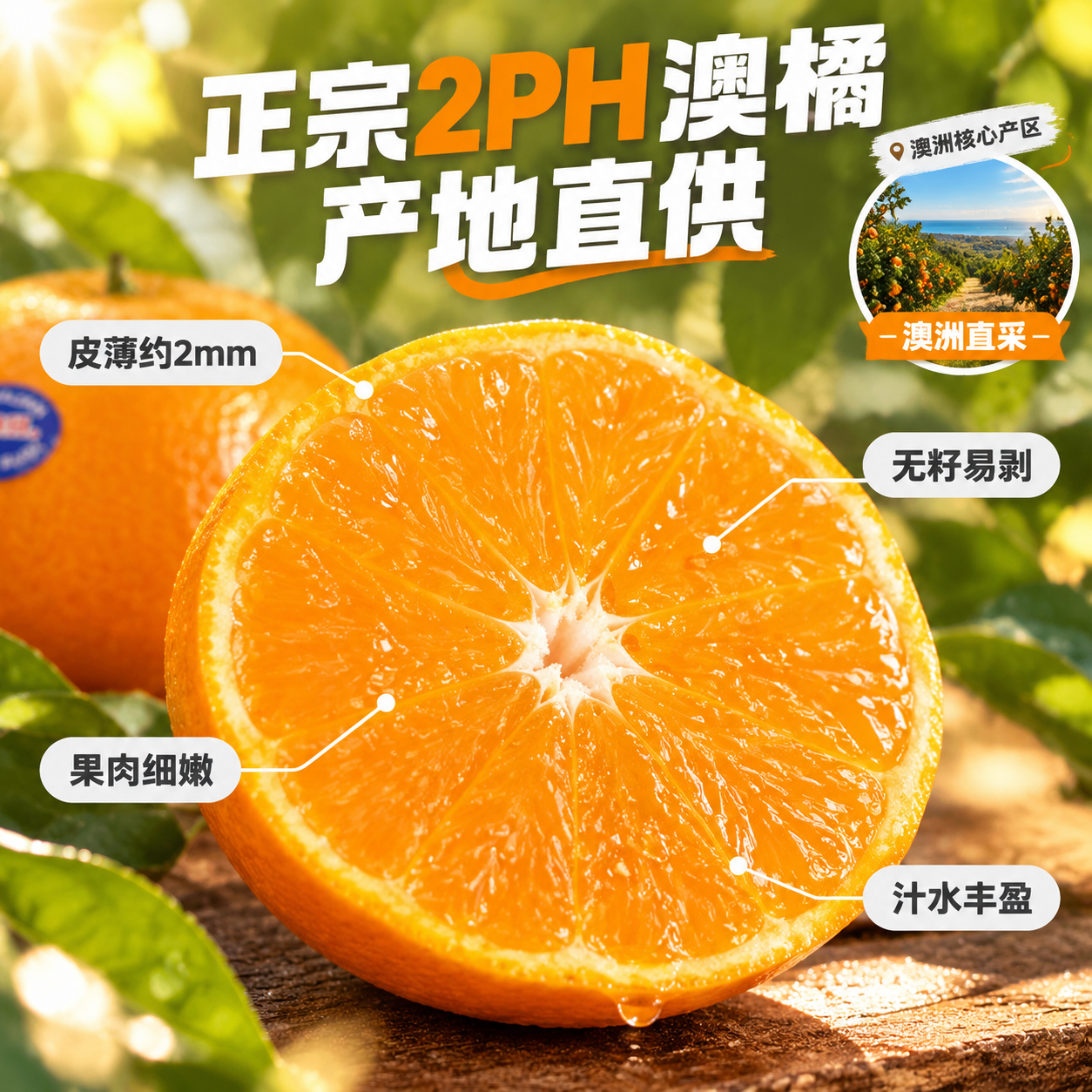 [主图-2] 核心亮点 产地溯源与甜度展示 [统一基调] 抖音… - 图片创意预览